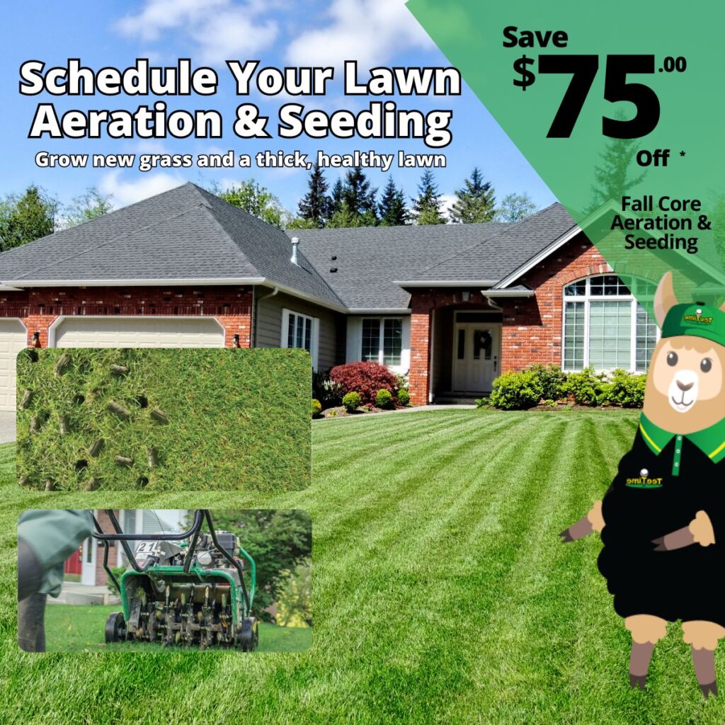 $75 Off Fall Aeration with Seeding with Tee Time Lawn Care
